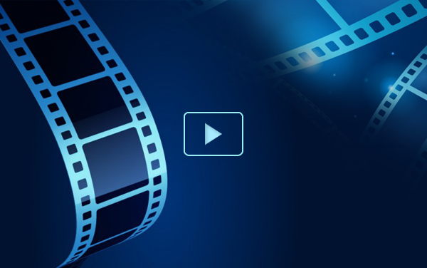 Hướng dẫn tuyển sinh đầu cấp năm học 2023-2024